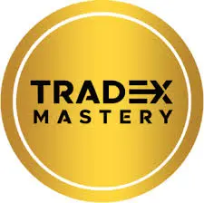 لوجو شركة  TradeXMastery