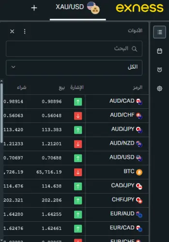 الأدوات المالية المتاحة للتداول في شركة Exness Global