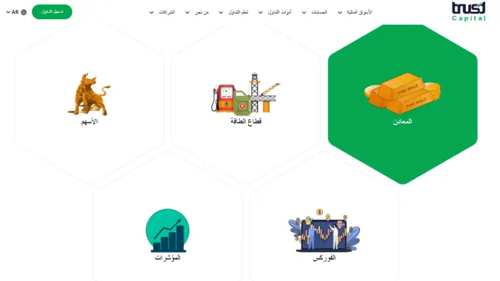 الأصول المالية لدى شركة تراست كابيتال Trust Capital