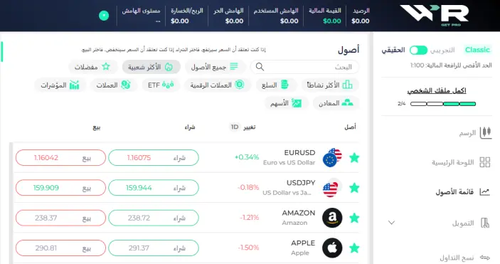 الأصول المالية لدى شركة دابليو آر برو